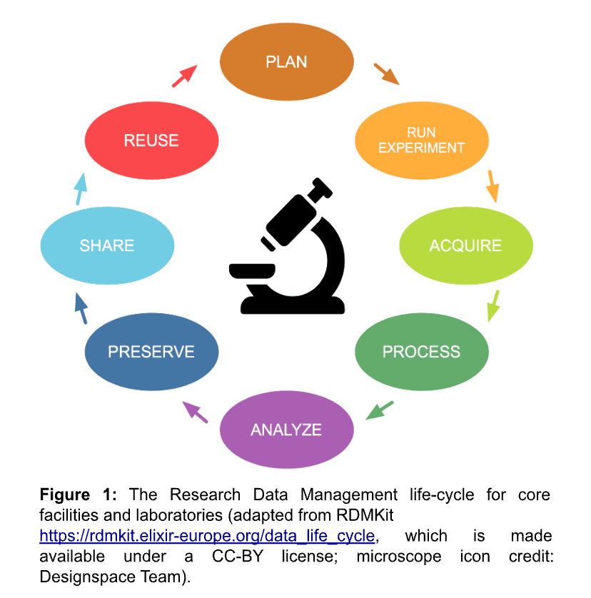 figure1-plan.png